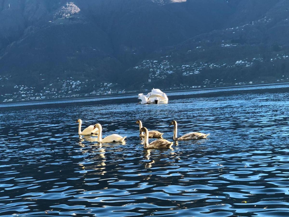 Ferienwohnung Casa Sibylle Bei Locarno Exterior foto