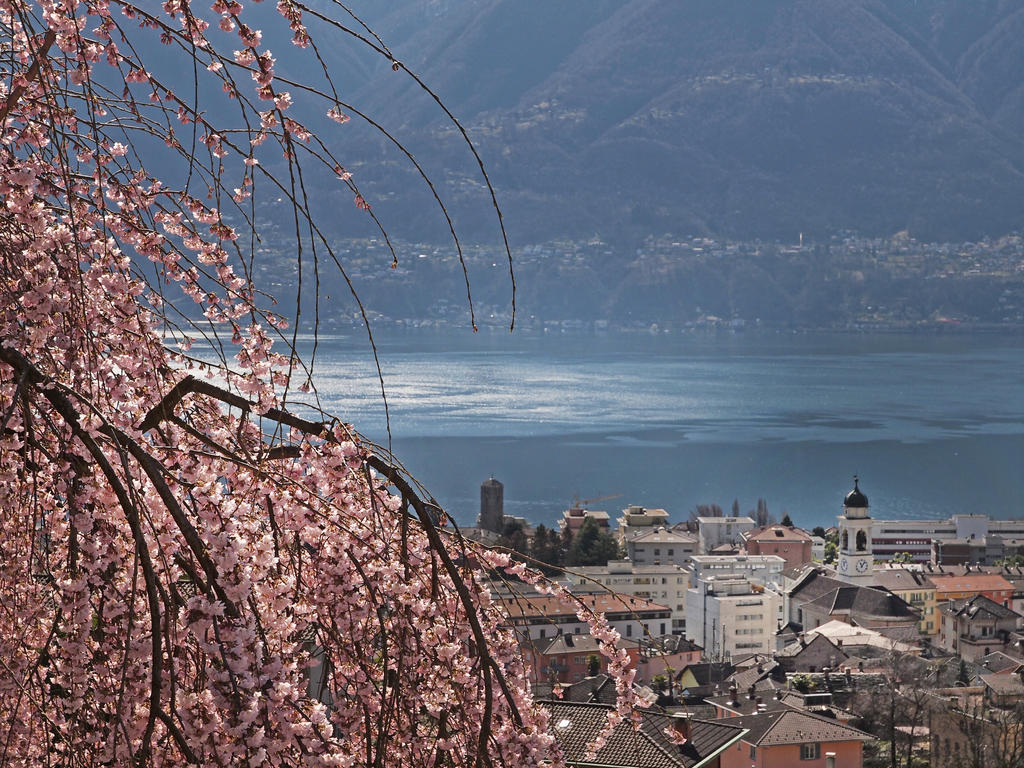 Ferienwohnung Casa Sibylle Bei Locarno Exterior foto